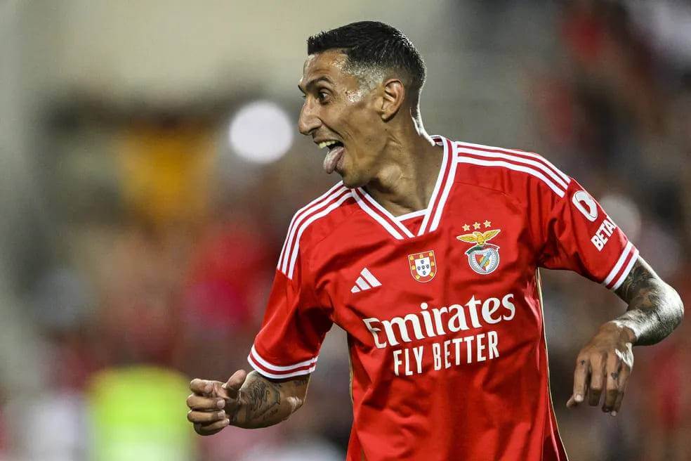 dimaria benfica 1