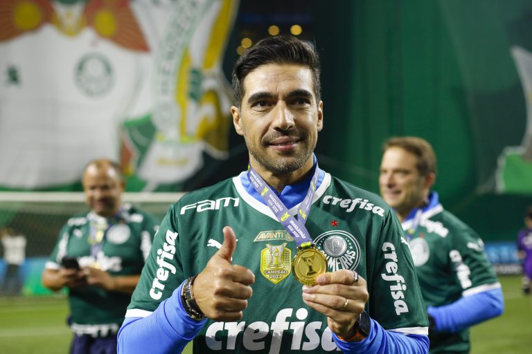 palmeiras v america mg brasileirao 2022