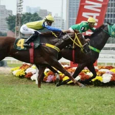 Lei que Proibia Corridas de Cavalo em SP é Suspensa