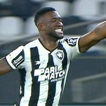 Botafogo vence o Fluminense que fica na Zona de Rebaixamento