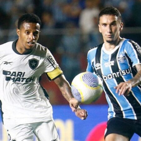 Botafogo x Grêmio: tudo sobre o jogo